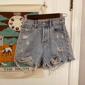 Pacsun Shorts